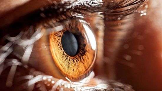 Специалисты придумали, как спасти зрение при травмах глаза