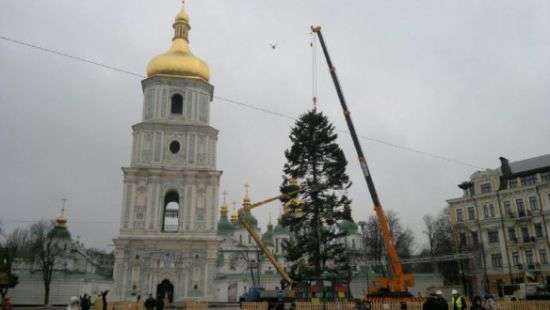В центре Киева установили главную елку страны