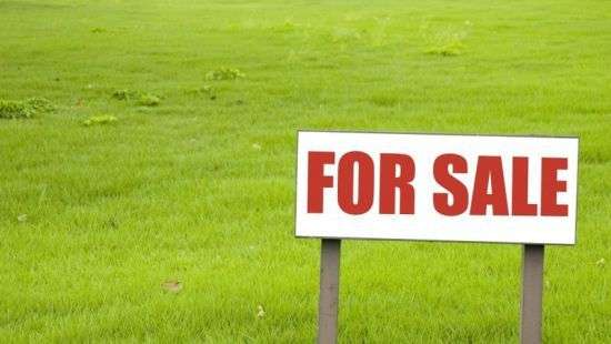 Рада продлила на год мораторий на продажу сельхозземель