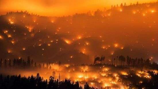 Спасение кролика из пожара в Калифорнии попало на ВИДЕО