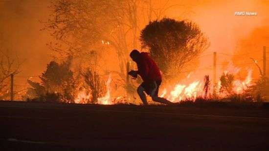 Сеть покорило видео спасения кролика от пожара в США (ВИДЕО)