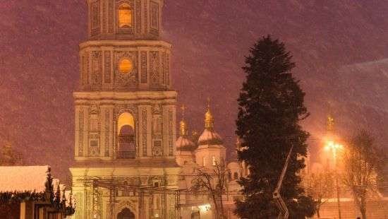 Облысевшую главную елку страны привели в порядок (ФОТО)