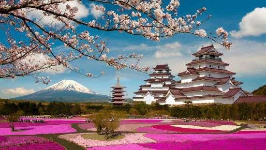 В Японии символ уходящего года связали с ядерной угрозой КНДР