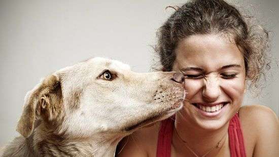 Названа, неожиданная опасность от домашних животных