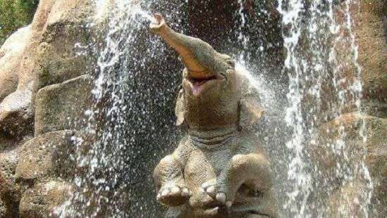 Спасателям пришлось отбиваться от мамы-слонихи, чтобы спасти слоненка (ВИДЕО)