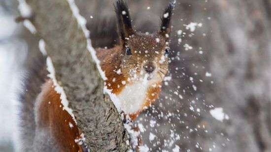 Погода: циклон сделает погоду в Украине сложной