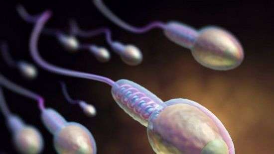 Врачи нашли неожиданное лечебное применение сперме