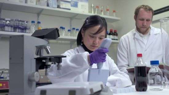 Роботы смогут оценивать вкус пищи и чувствовать запах