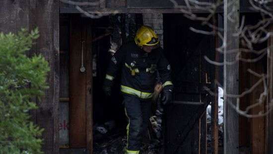 Из-за пожара в лондонском зоопарке пострадали люди и животные (ВИДЕО)