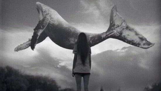 Полиция заблокировала в соцсетях тысячи групп, которые доводили до самоубийства