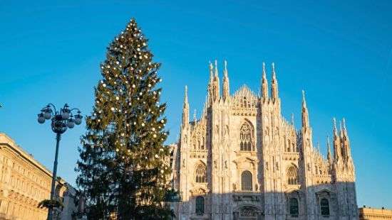 В Милане беженец из Африки пытался снять крест с 15-метровой ели