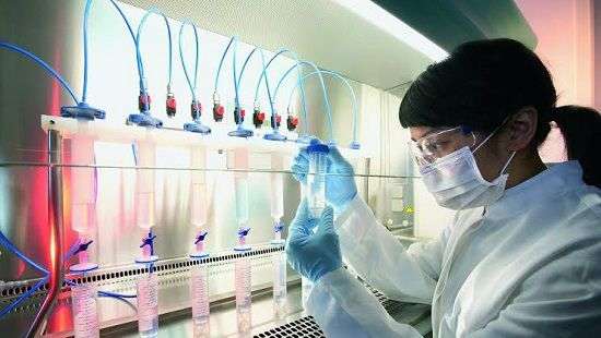 Ученые сделали стволовые клетки более доступными