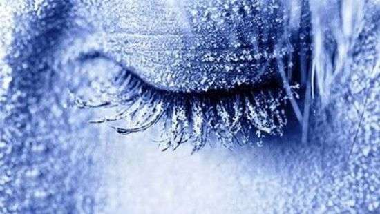 В США заморозят в жидком азоте целую семью