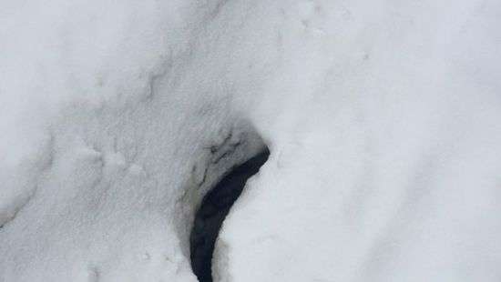 В России чиновница провалилась в люк и нашла там пропавшего ребенка