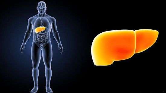 Специалисты назвали 6 признаков «уставшей» печени