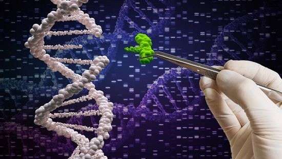 Рейтинг самых важных открытий и научных достижений, топ-10