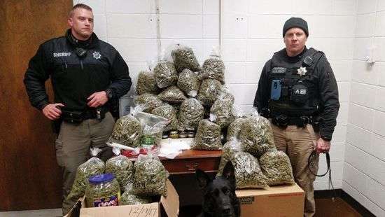 В США пара пенсионеров везла в машине 27 кг марихуаны на рождественские подарки