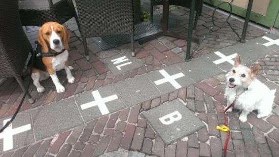 Бельгия и Голландия обменялись территориями