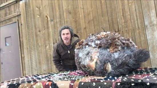 Уфолог показал голову снежного человека (ВИДЕО)