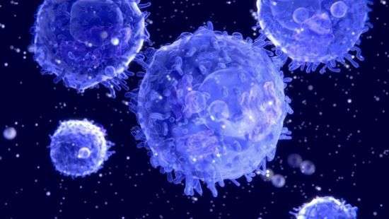 Медики нашли природный инструмент для повышения иммунитета