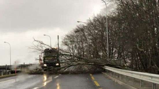 Названо число погибших из-за обрушившегося на Европу шторма (ВИДЕО)