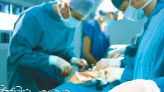 Открылась клиника, предоставляющая экзотическую процедуру