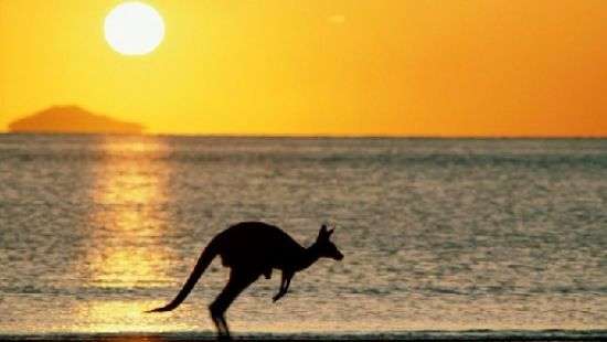 Австралию замучила адская жара