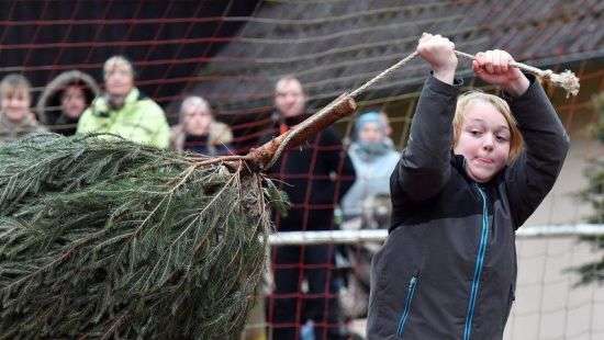 В Германии соревновались в метании рождественских елок (ВИДЕО)