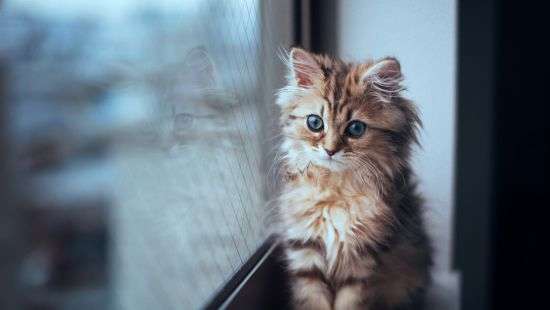 Погода в Украине: теплее всего будет в Ужгороде