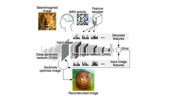 Нейросеть научили воссоздавать изображения