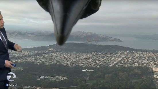 В США любопытная ворона сорвала выпуск новостей на ТВ - ВИДЕО