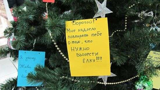 Когда лучше убирать елку, рассказали психологи