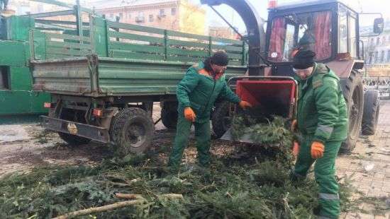 В Киеве разобрали и утилизировали главную елку страны (ФОТО)