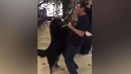 Генпрокурор Луценко станцевал с собакой (ВИДЕО)