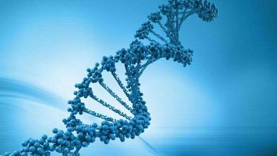 В лечении паралича медикам помогут рыбы