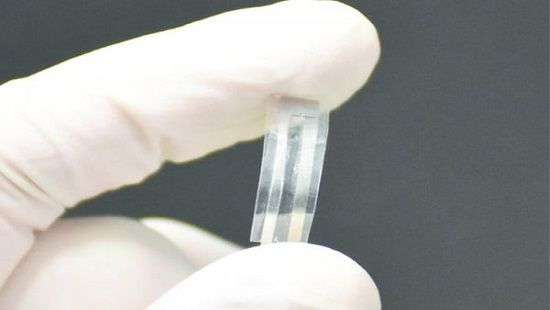 Ученые создали биоразлагаемый датчик давления