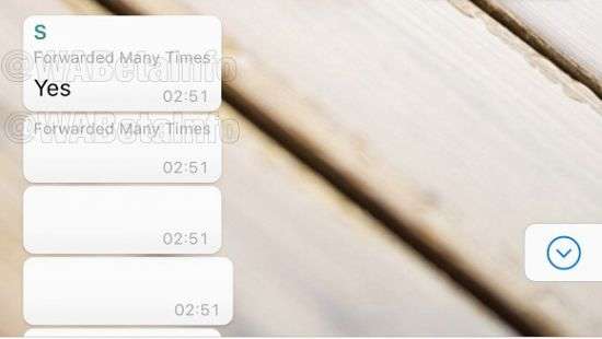 WhatsApp начал предупреждать о сообщениях