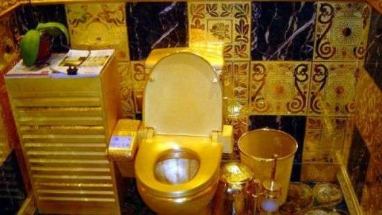В РФ обнаружили золотой туалет, «на место срочно выехал Янукович» (ФОТО)