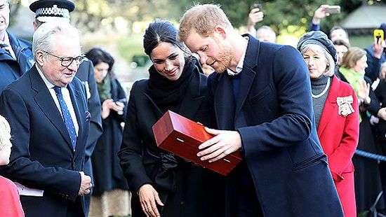 Меган Маркл и принц Гарри получили необычный свадебный подарок