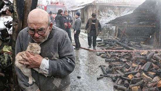 Соцсети растрогало ВИДЕО старика с котенком, у которого сгорел дом