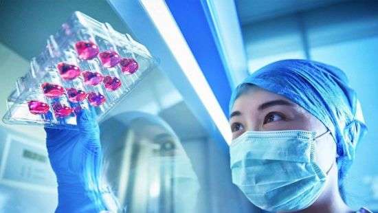 Косметику будут тестировать на искусственной коже