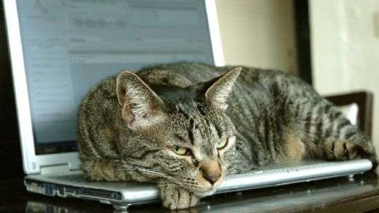 В Украине сократилось количество интернет-пользователей