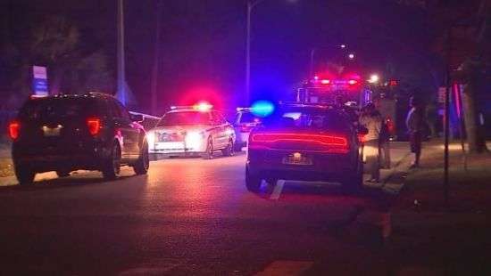 В США неизвестные открыли огонь по посетителям парка