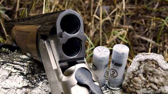 В России собака застрелила охотника