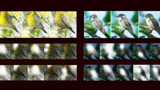 Microsoft разработала ИИ-систему для создания изображений