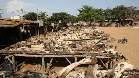 Сало известно, что продается на самом жутком рынке в мире (ФОТО)