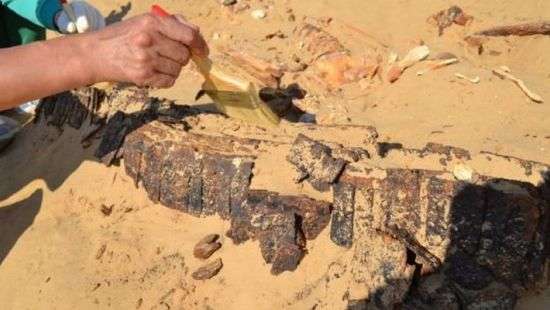 В Израиле обнаружили останки людей возрастом 200 тысяч лет