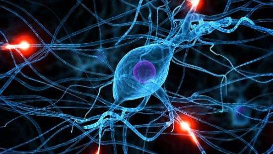 Врачи придумали, как бороться с болезнью Паркинсона