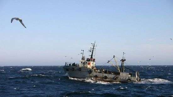 «Надежды нет»: В Японском море прекратили поиск пропавшего рыболовного судна