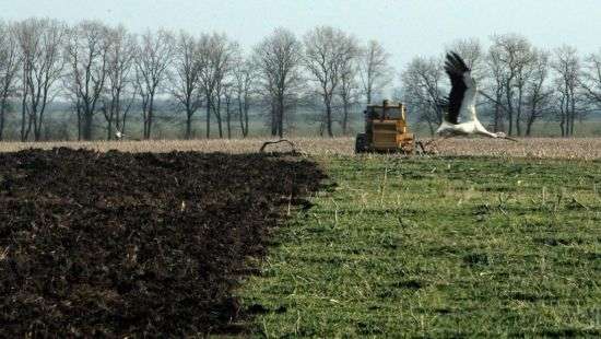 Кабмин согласовал способы передачи земли в собственность тергромад